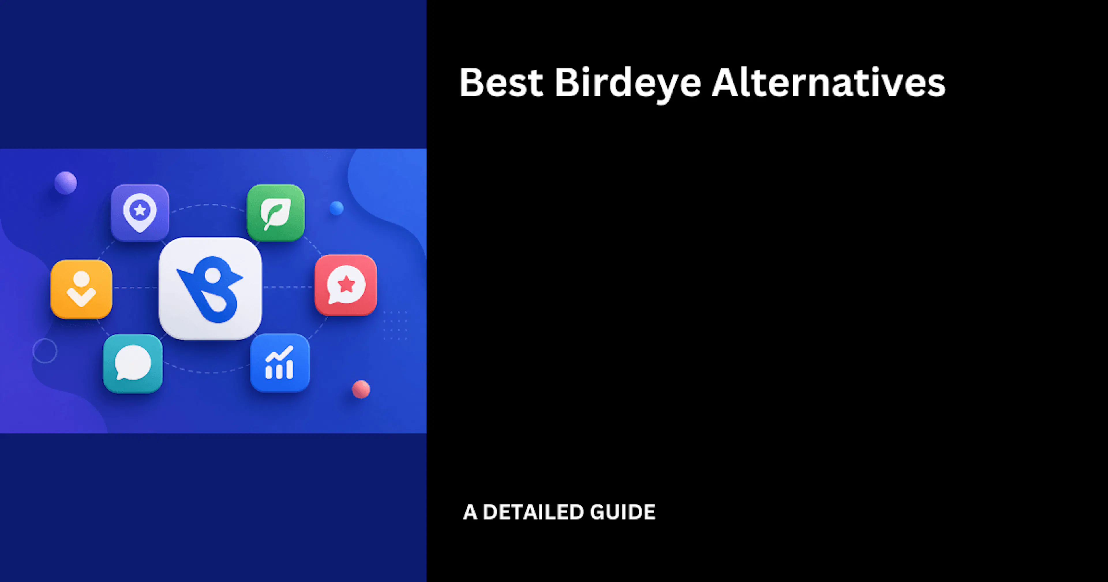 Best Birdeye Alternatives