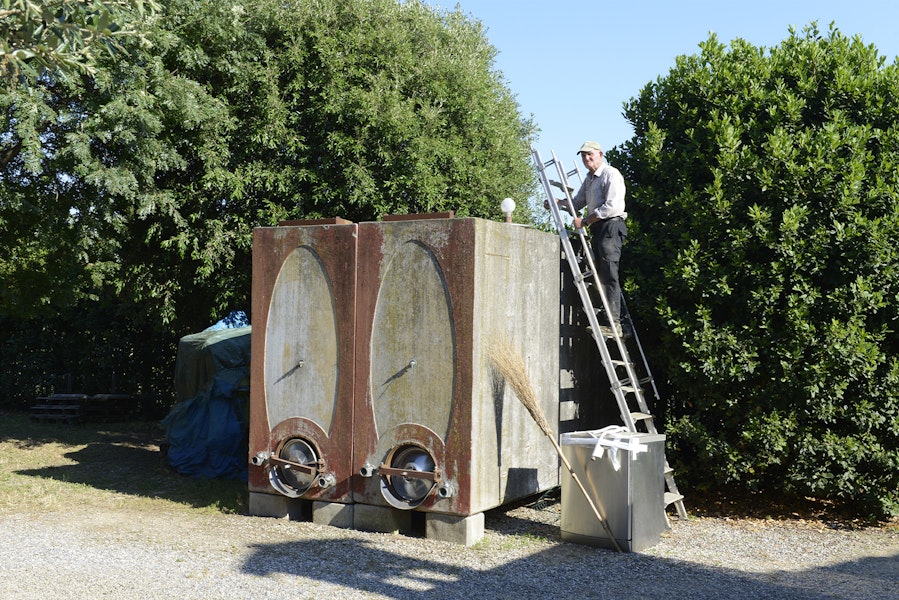 Man climbing a ladder