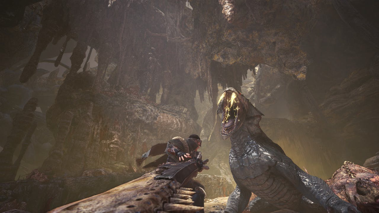 Capcom taking 'extra time' with Monster Hunter: World PC