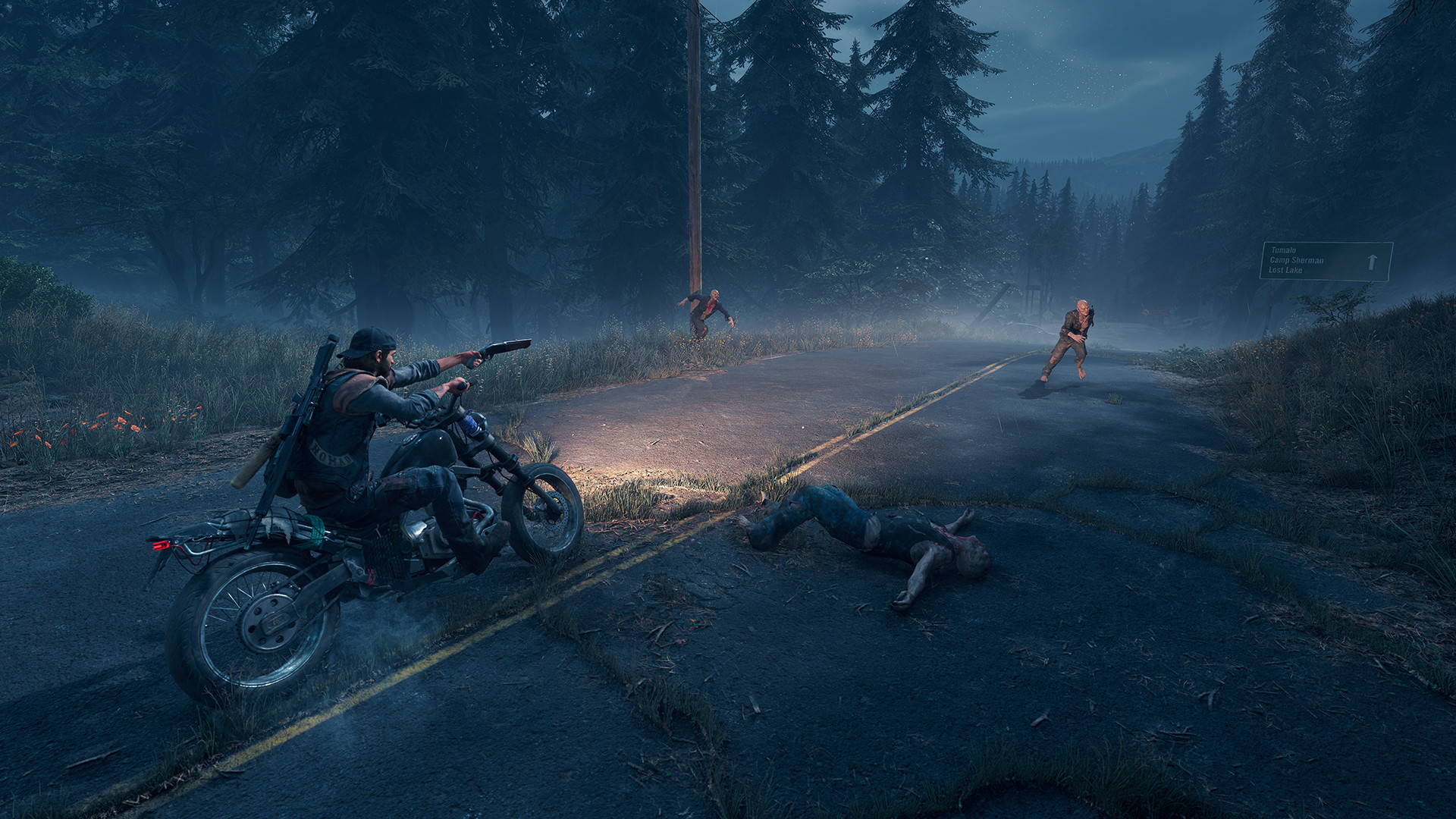 Days Gone Wallpapers, Days Gone 4K, 8K HD Background Images - Wallpx