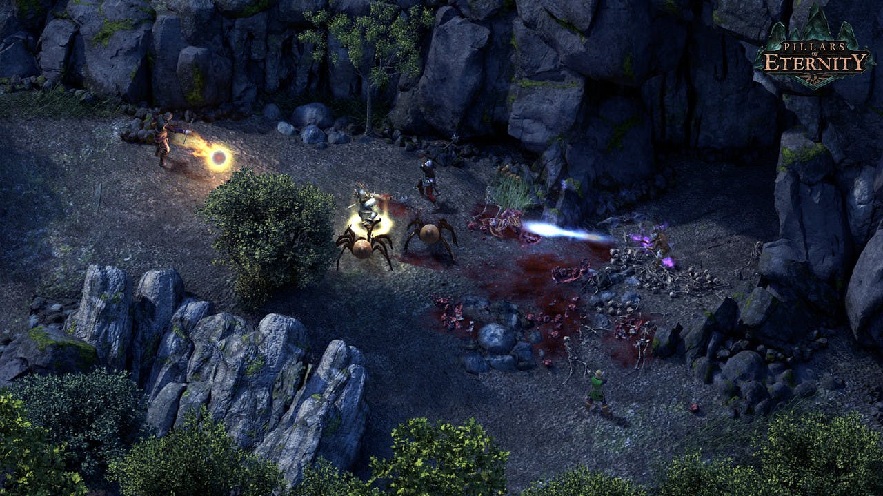 Pillars of Eternity Definitive Edition