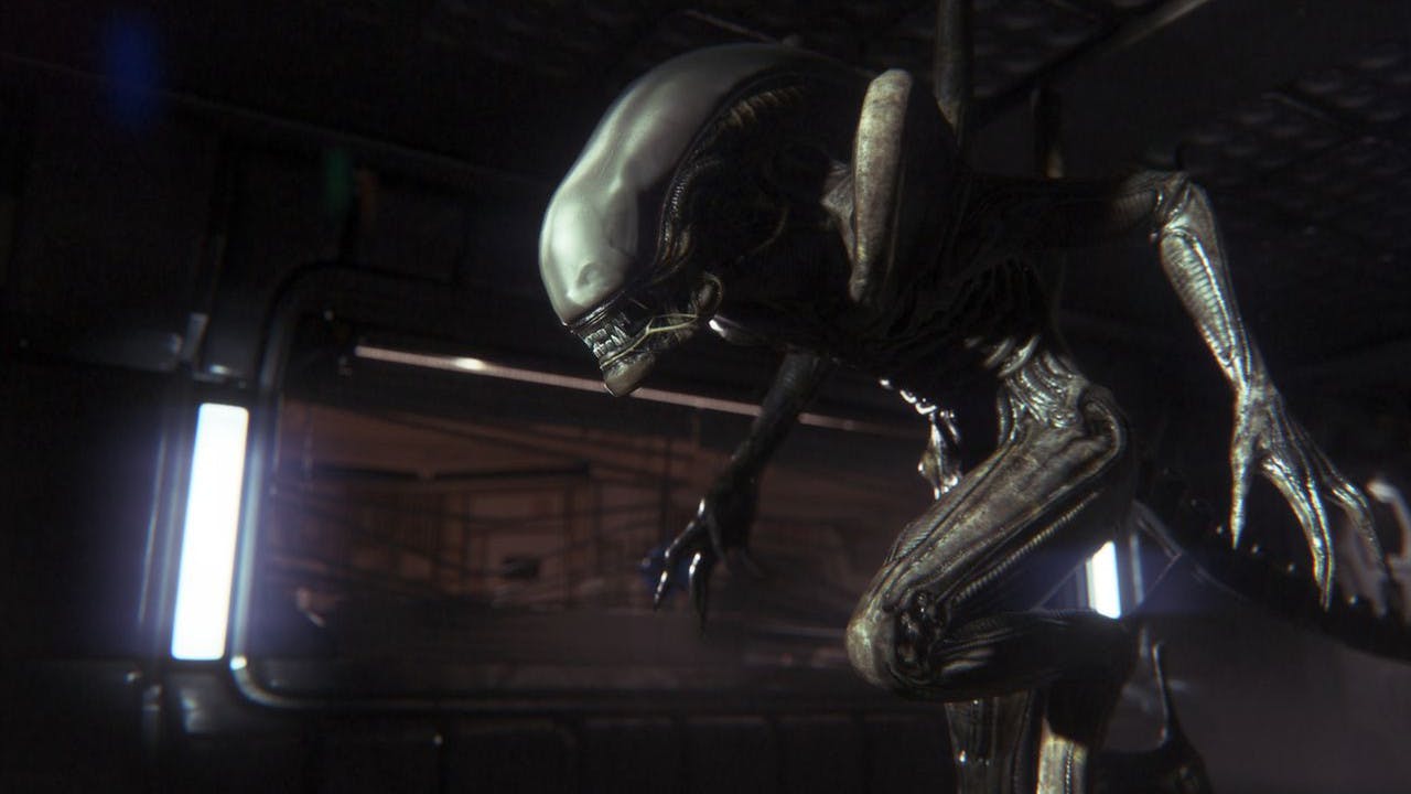 Xenomorph