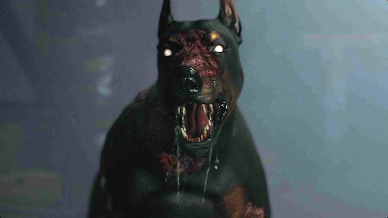 Zombie dogs