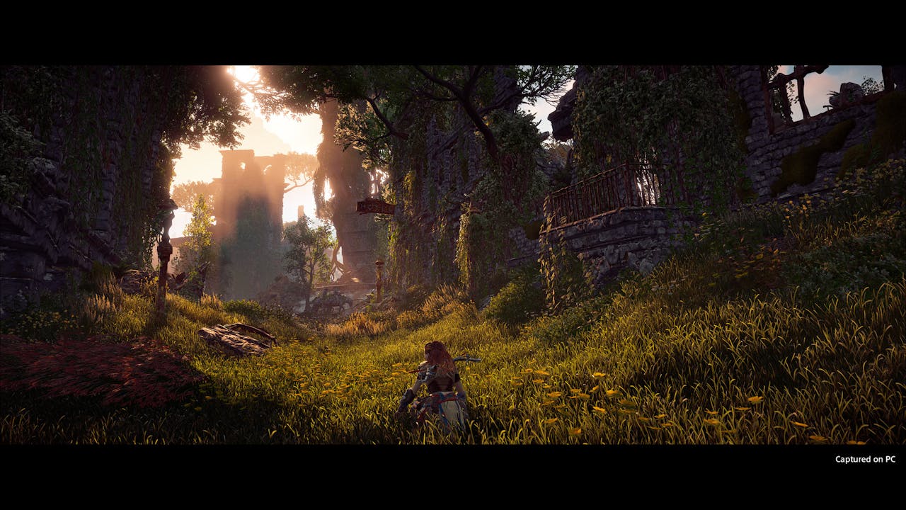 Horizon: Zero Dawn Complete Edition