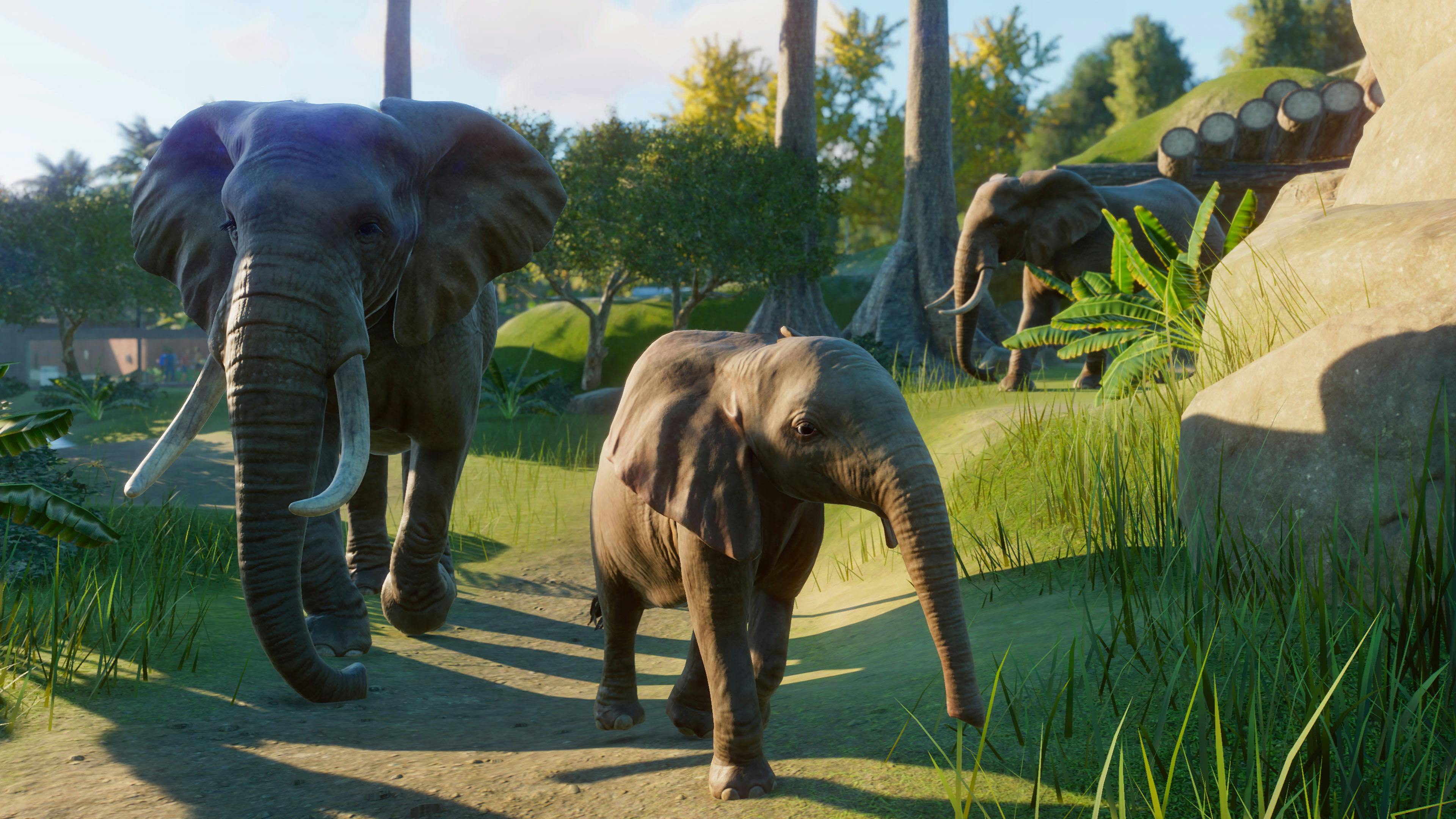 Planet zoo недопустимое направление