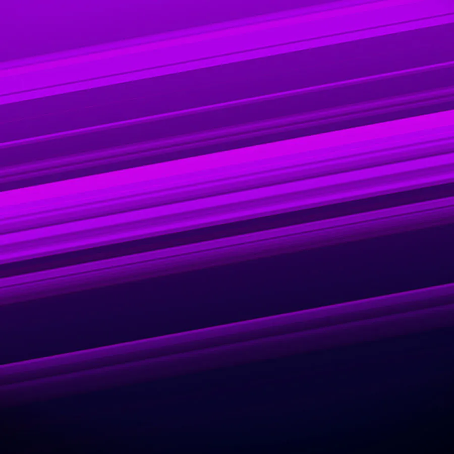 game-Rabbit Royale FGP-background