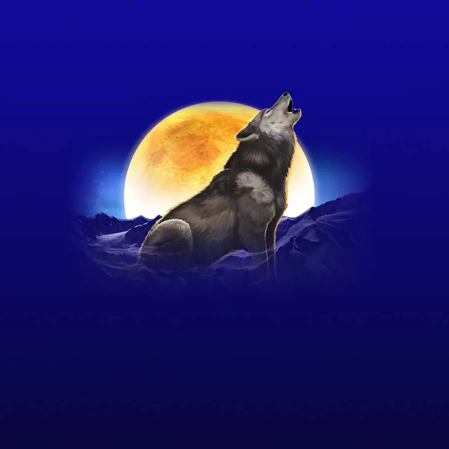 game-MegaJackpots Wolf Run-background