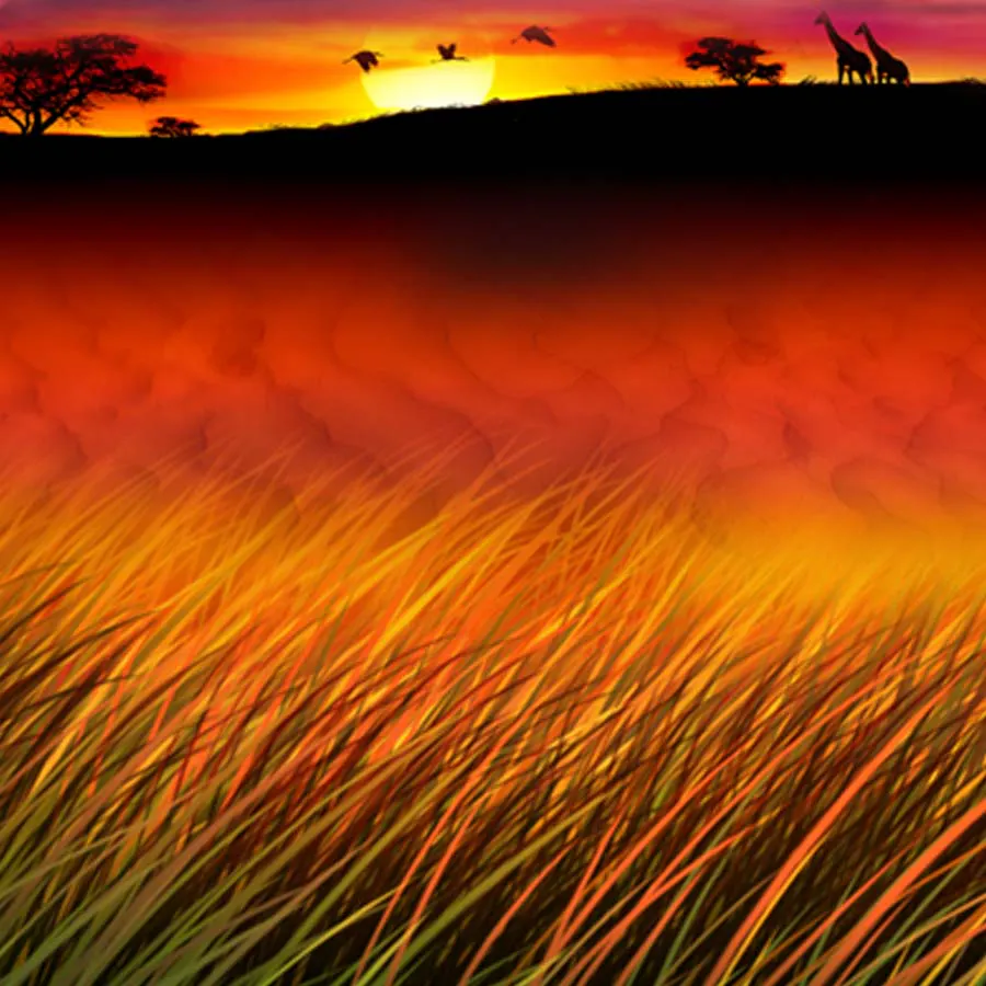 game-50 Lions Deluxe-background
