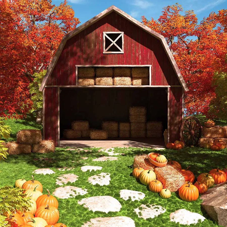 game-More Turkey-background