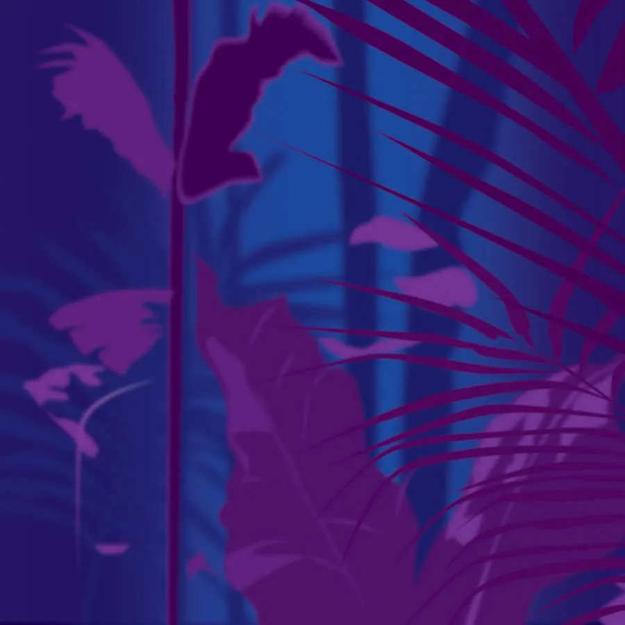 game-Brazil-background