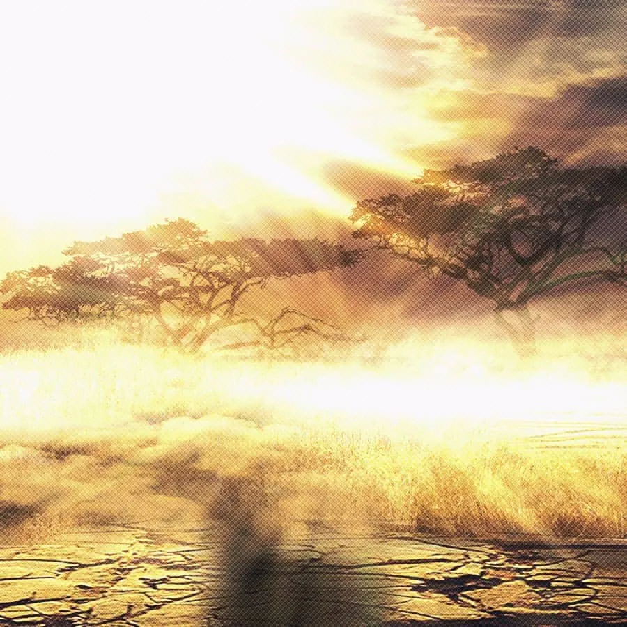 game-Elephant King-background