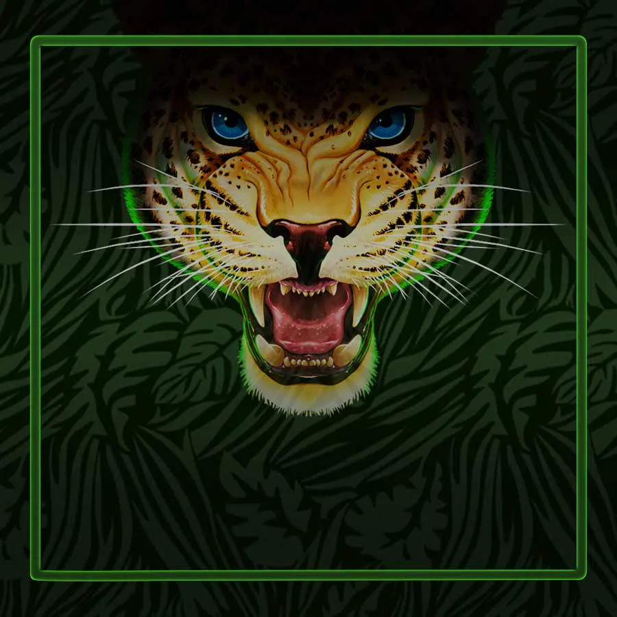 game-Double Leopard-background