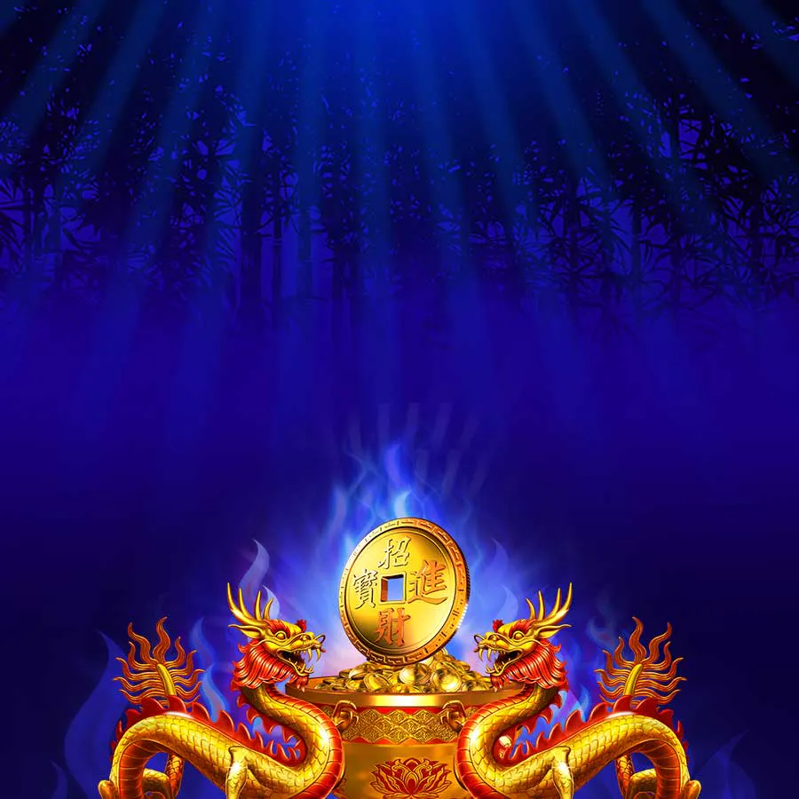 game-Fortune Coin-background