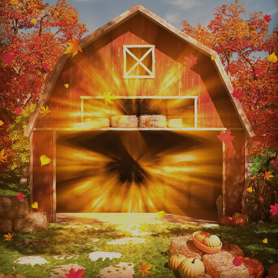 game-More Turkey-background