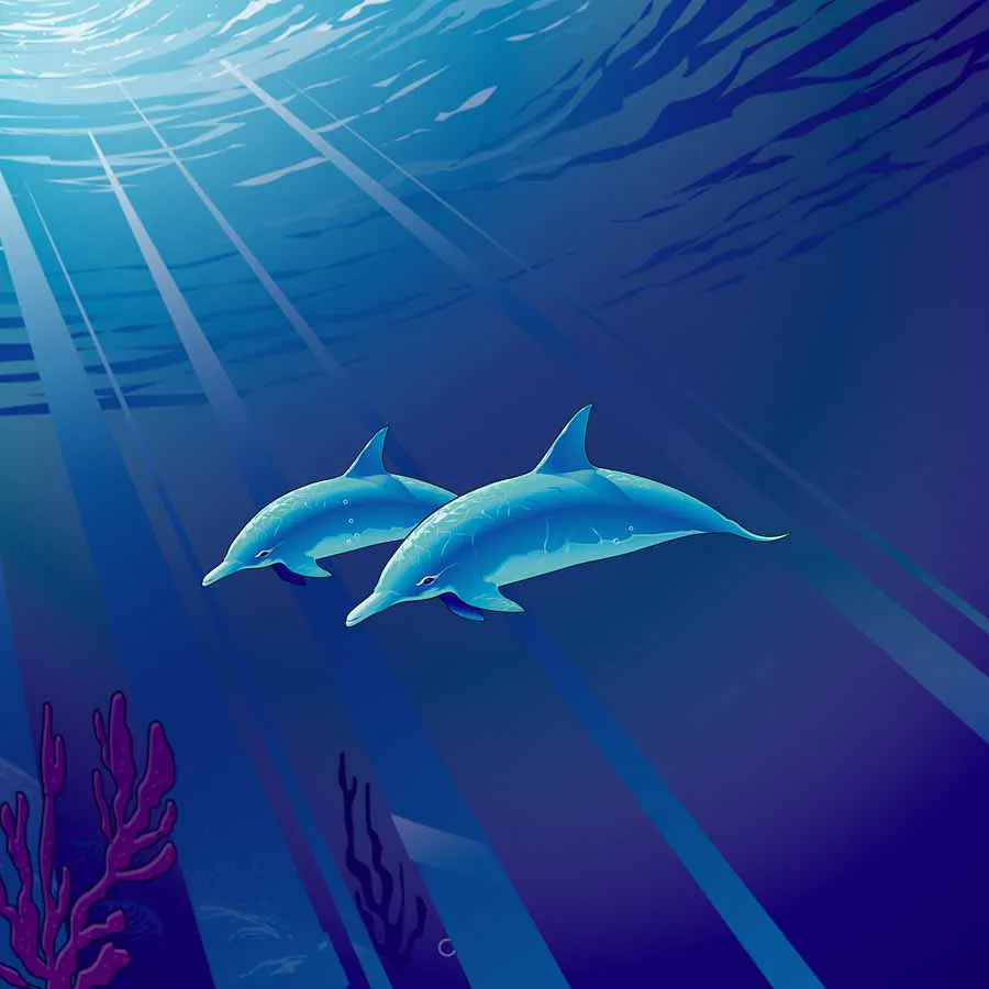 game-Dolphin Treasure-background