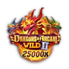 game-Dragons of Arcane Wild II-logo