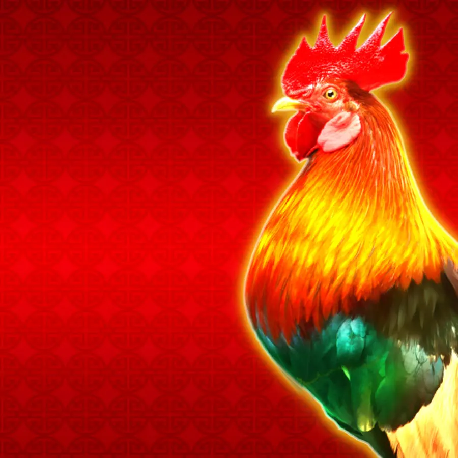 game-Lucky Rooster-background