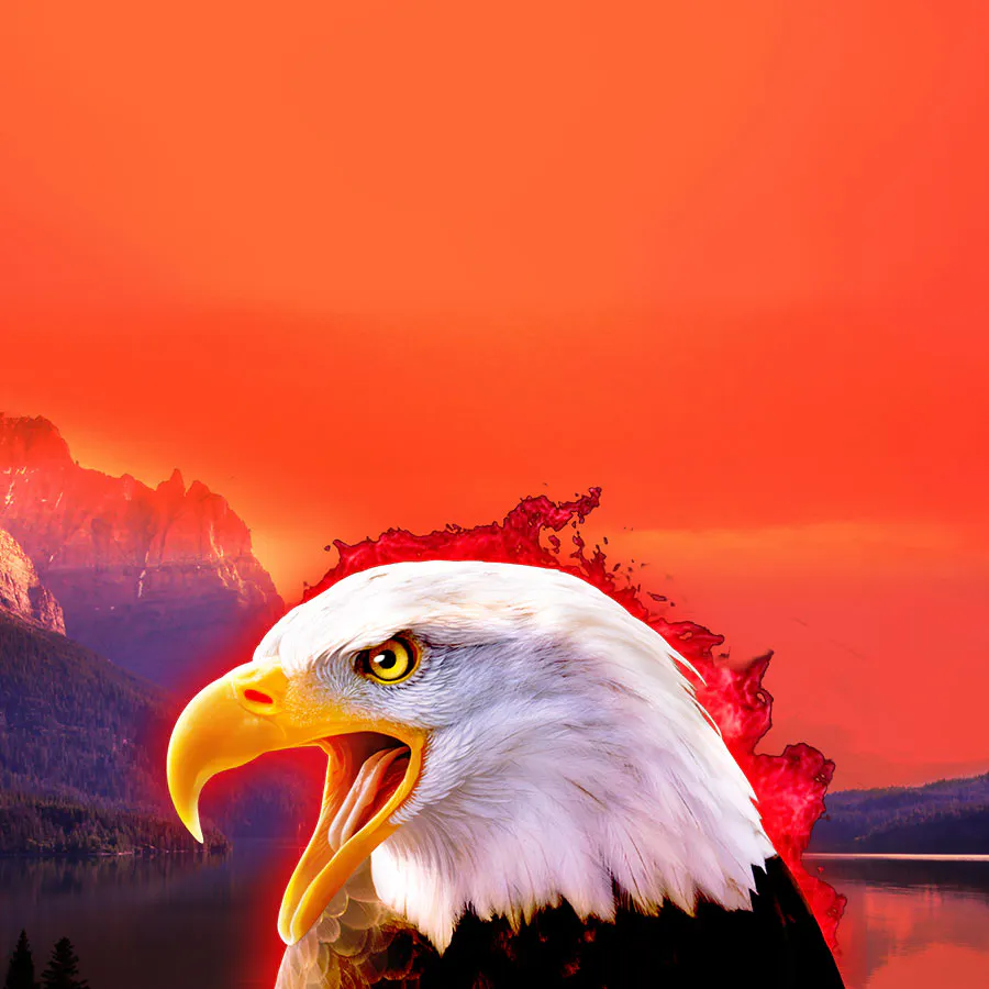 game-Eagles' Flight-background