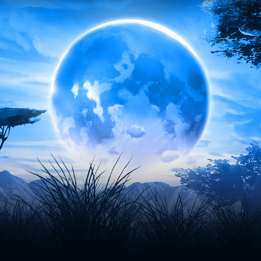 game-Safari Gold Megaways-background
