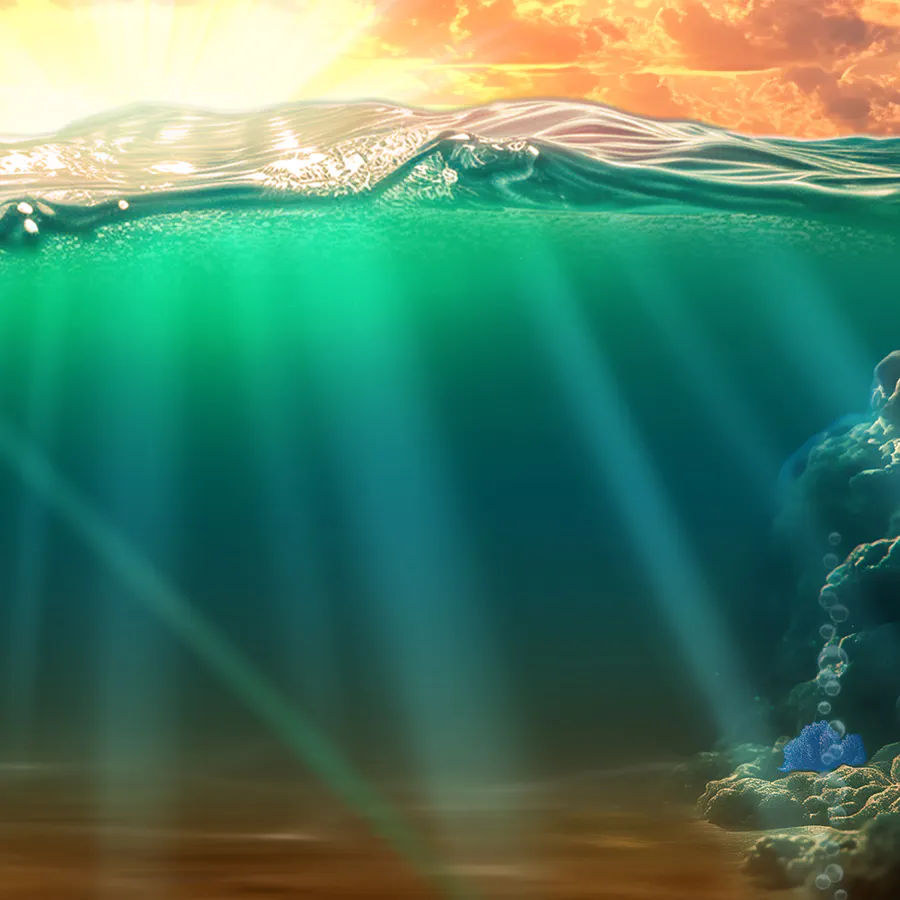 game-Big Bass Bonanza 1000-background