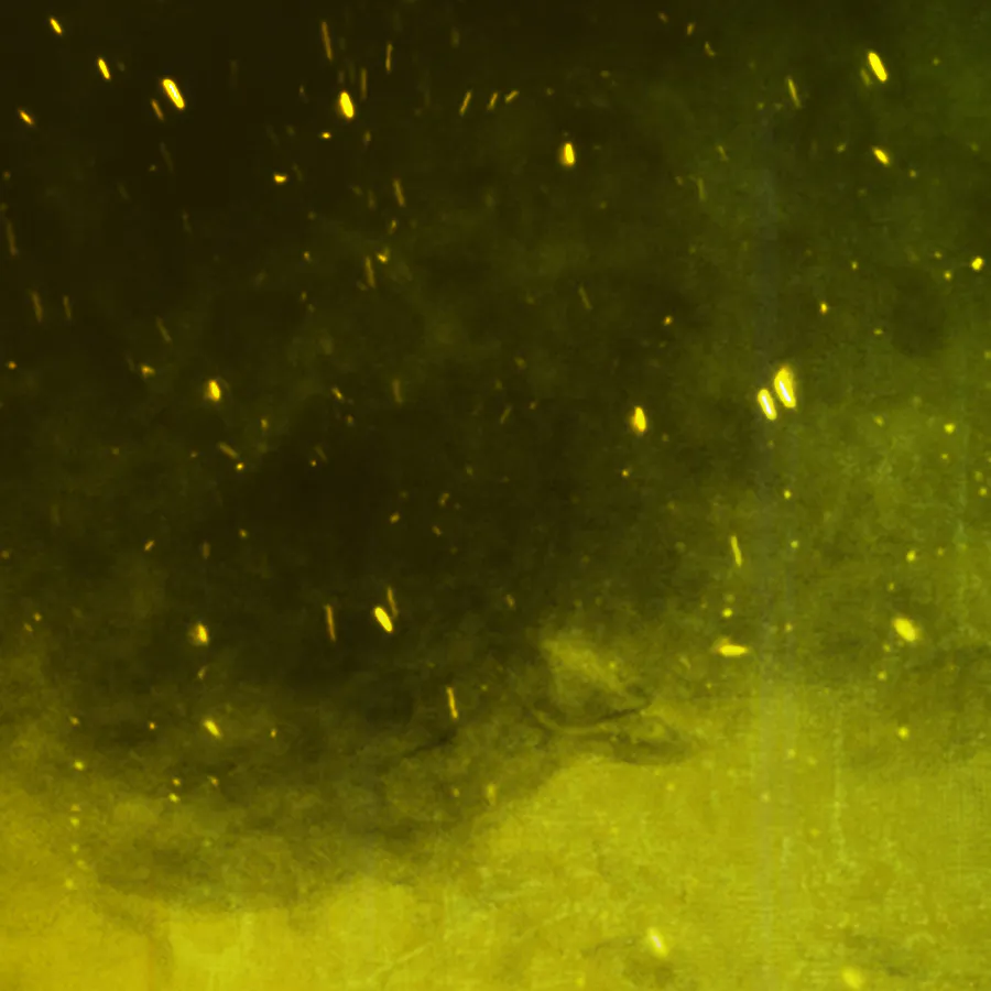 game-Breaking Bad Mega Fire Blaze Roulette-background