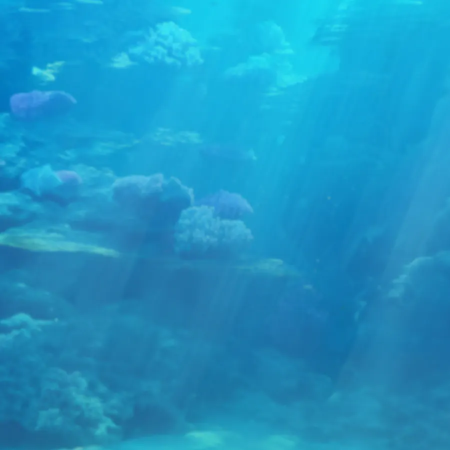 game-Shark Crush-background