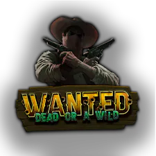 game-Wanted Dead or a Wild-logo