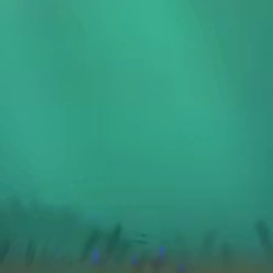 game-Big Money Bass-background