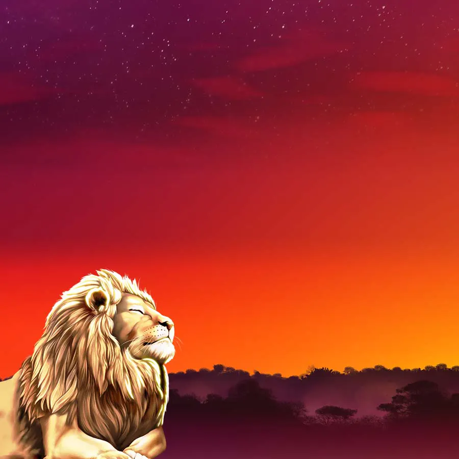 game-Animals Of Africa-background