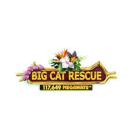 Big Cat Rescue Megaways on  Casino