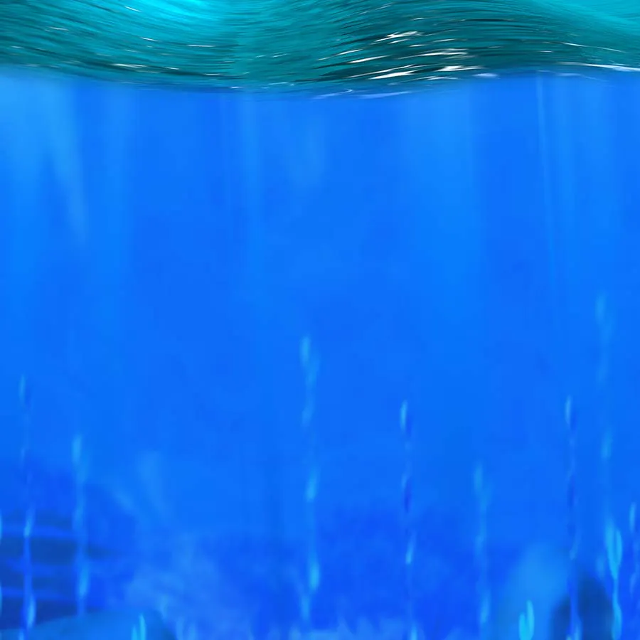 game-Catch Of The Day-background