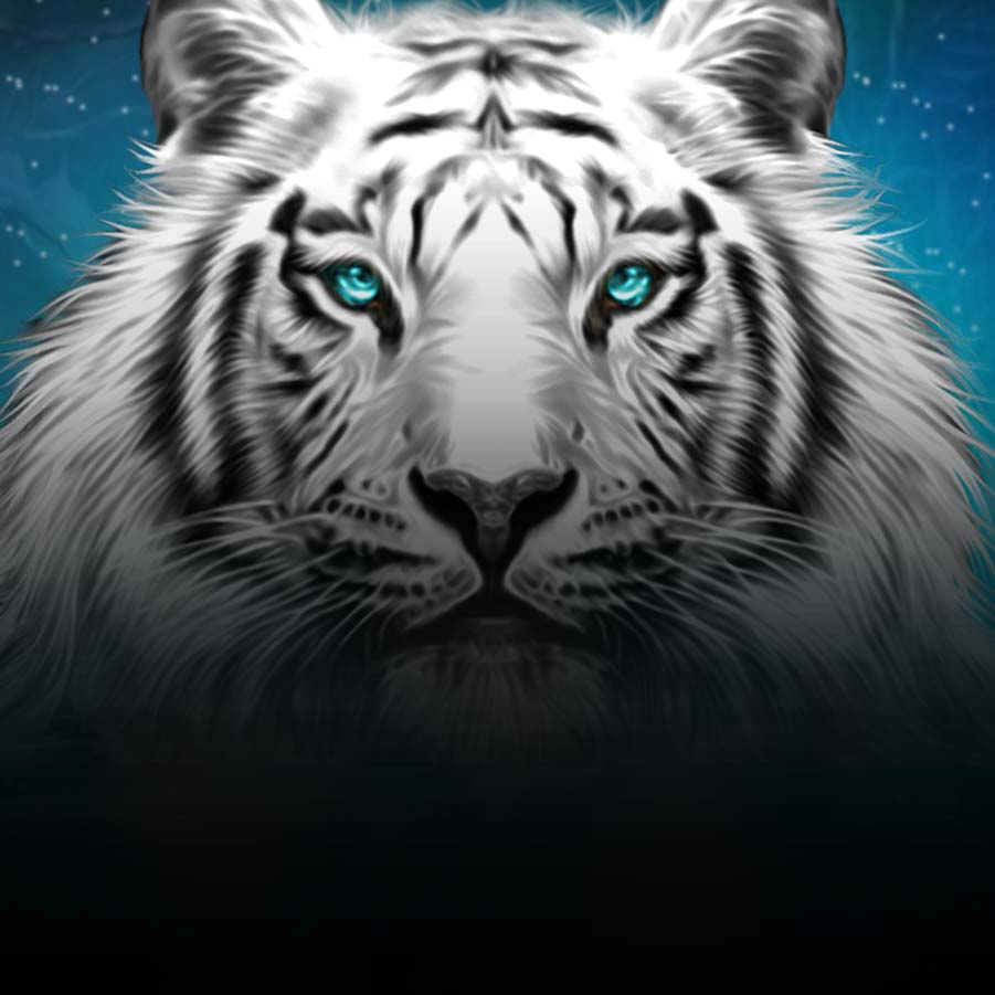game-Siberian Storm-background