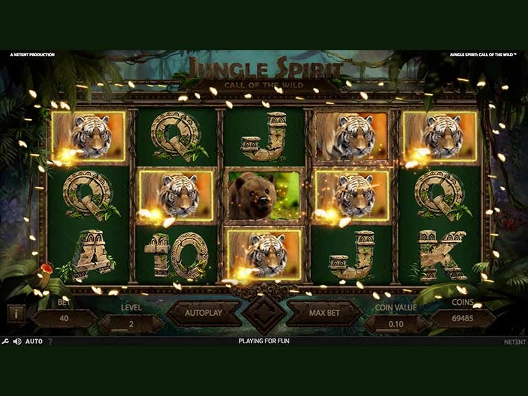 Jungle Jungle