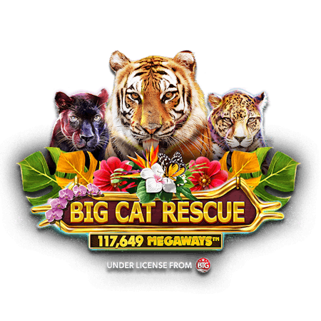 Big Cat Rescue Megaways on  Casino