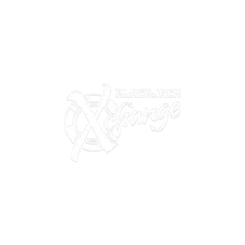 game-Blackjack X-change-logo