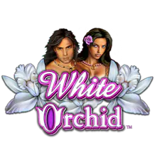 game-White Orchid-logo