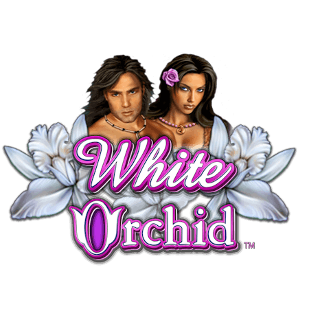 White Orchid on  Casino