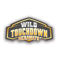 game-Wild Touchdown Megaways-logo