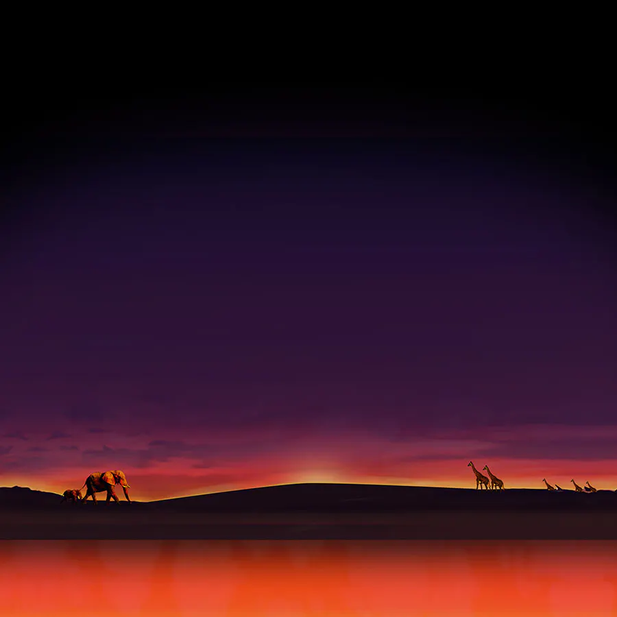 game-50 Lions-background