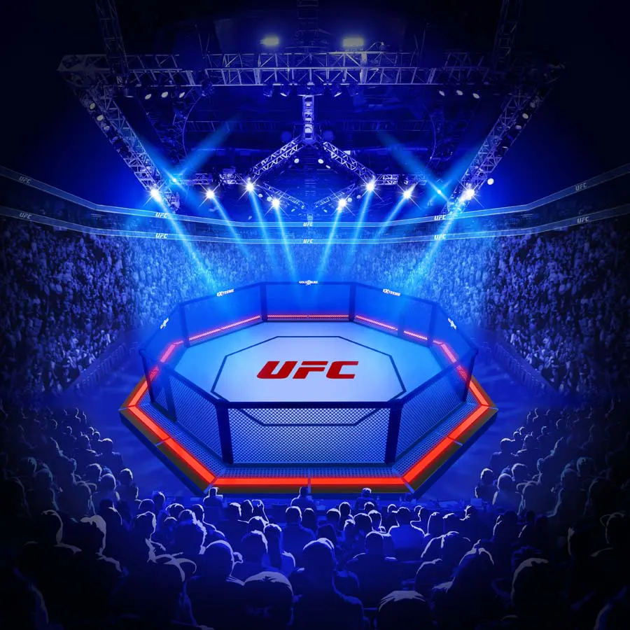 game-UFC Gold Blitz EXTREME-background
