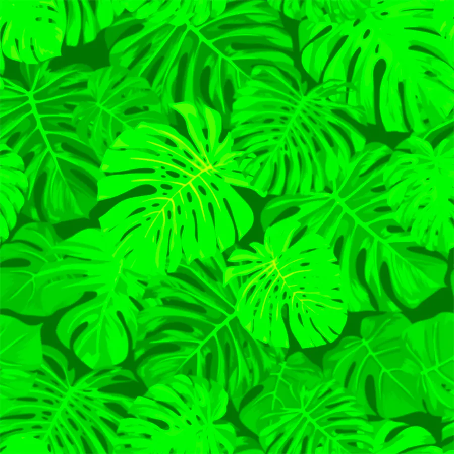 game-Dino Pays-background