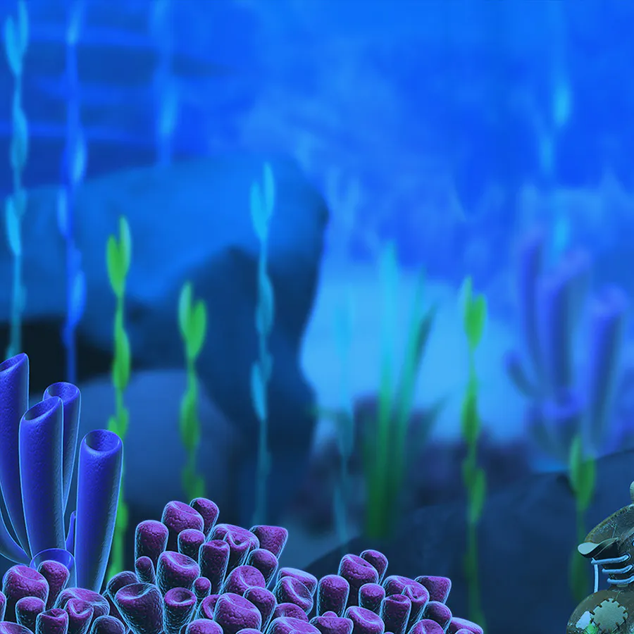 game-Catch Of The Day-background