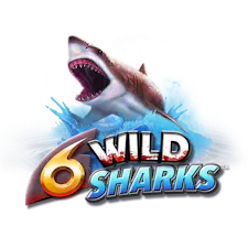 game-6 Wild Sharks-logo