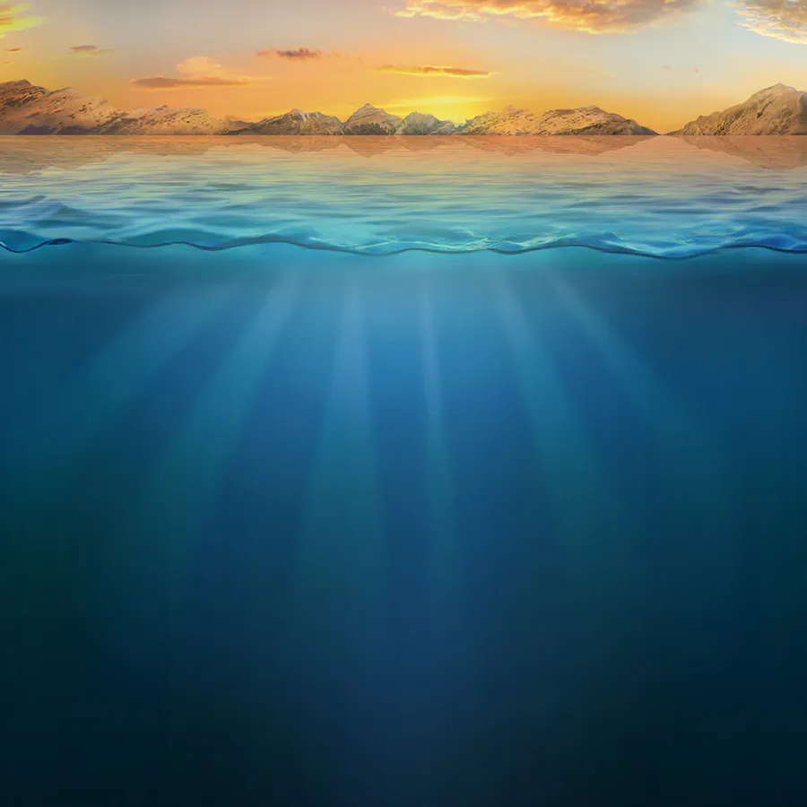 game-6 Wild Sharks-background