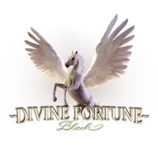 game-Divine Fortune Black-logo