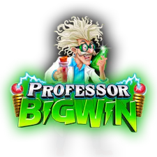 game-Professor Big Win-logo