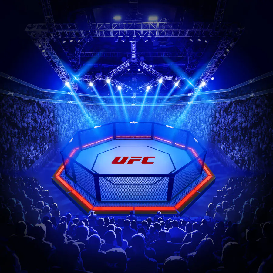 game-UFC Gold Blitz EXTREME-background