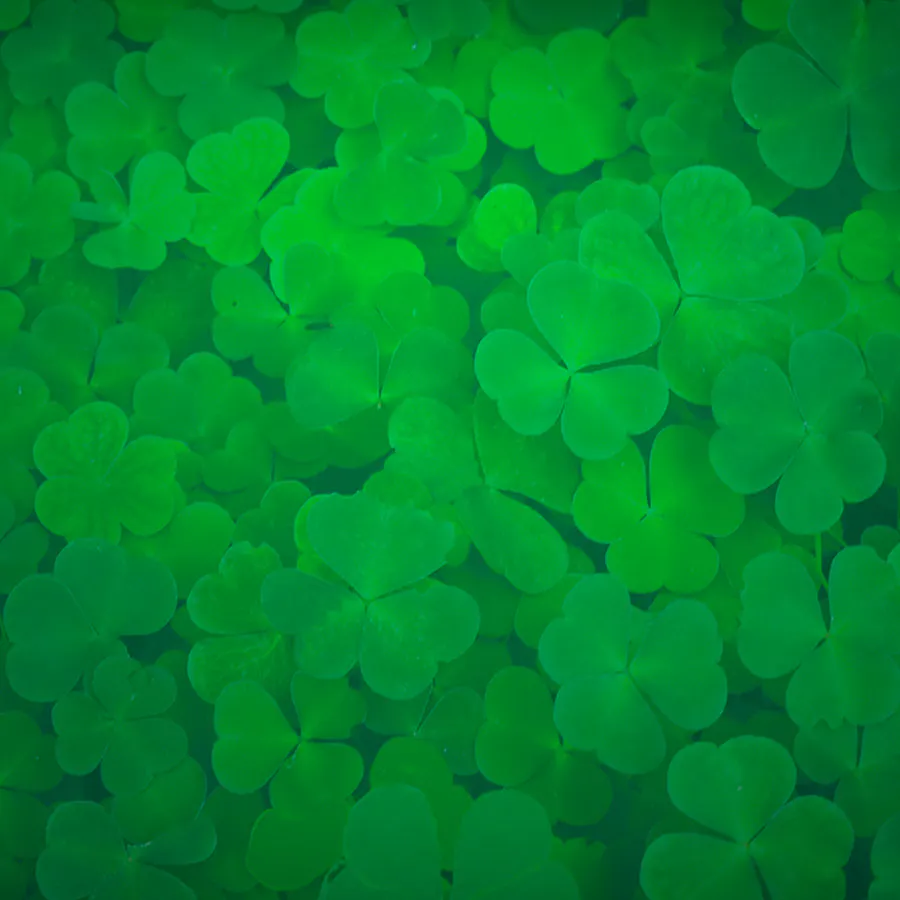 game-Land O' Loot LuckyTap-background