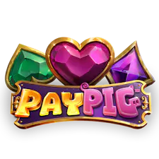 game-Pay Pig-logo