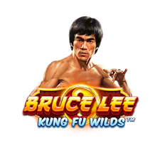 game-Bruce Lee Kung Fu Wilds-logo